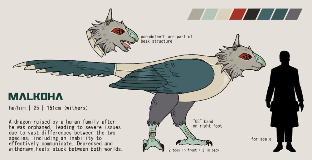 Reference for Malkoha, an avian dragon with a canine head. His head is grey with red markings around the eye. The eye itself has a white iris, but this is obscured by large red pupils. His feathers are grey and dark teal, and his beak and talons are mint green. He wears an offwhite jumpsuit and has a metal band saying "03" on his right foot.