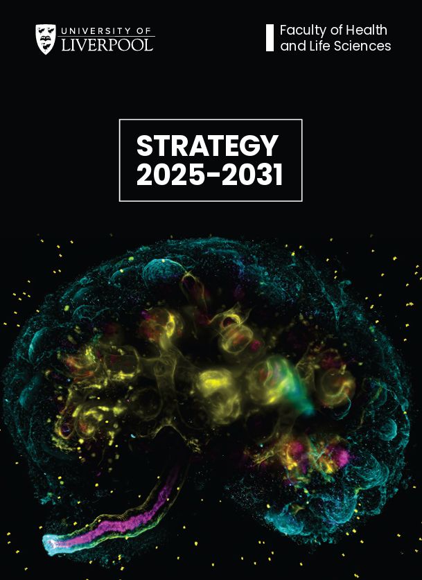 Cover page of the University of Liverpool, Faculty of Health and Life Sciences Strategy 2025-2031 document. The page is black and features a multi-channel microscope image of a mouse embryonic kidney stained for ureteric bud (cyan & yellow) and lumen (magenta). The kidney is surrounded by yellow spots which served as fiduciary markers during lightsheet imaging and give the impression of a starry sky. 