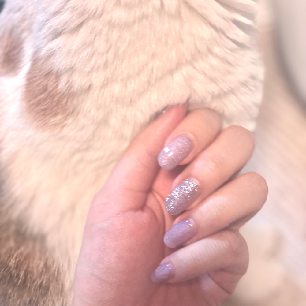 猫の体を背景にして手(爪)を撮った写真