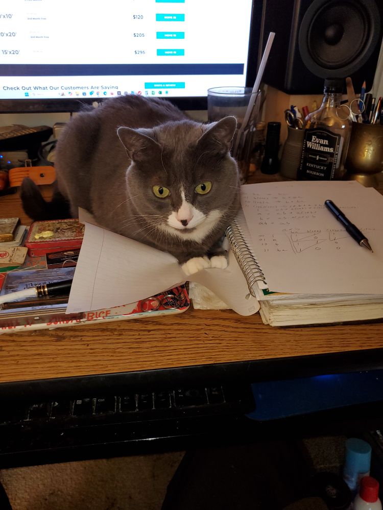 Theo reading my notebook on my computer desk 