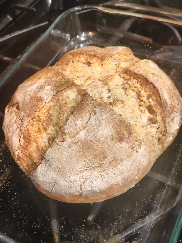 A sourdough bread loaf in a glass pan. The bread has risen significantly in the oven and has a wide split in the top where an x was carved in the pre baked dough.