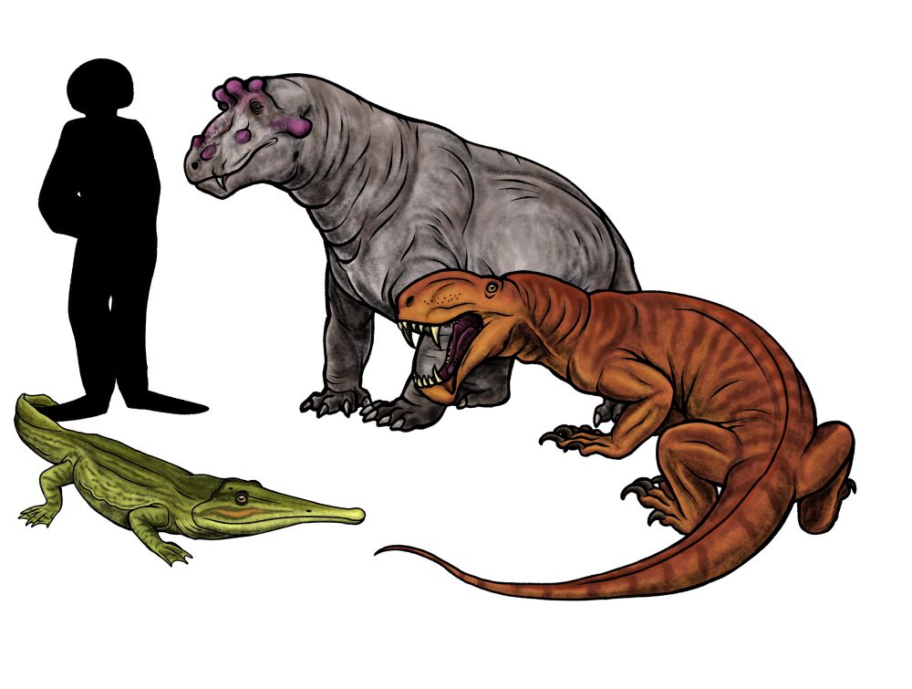 Platyoposaurus size comparison with Estemmenosuchus, Eotitanosuchus and hooman