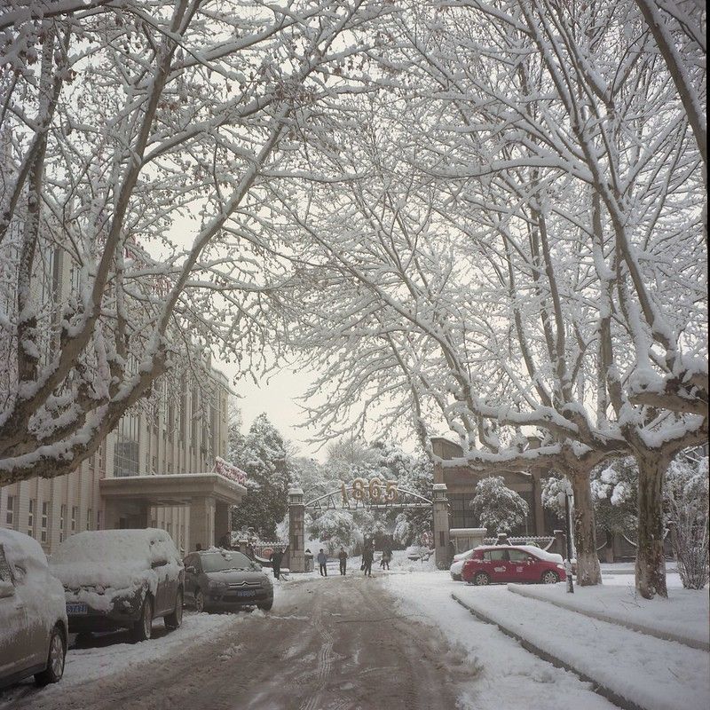 A narrow alleyway, whose sidewalks, parked cars, buildings, and trees are covered in a thick blanket of snow. On the left of the alley is a light-colored, two-story institutional building of some sort; straight ahead is a brick and metal gate with a sign reading “1865,” a few people standing at the gate, and beyond that, a parklike area filled with snow-frosted trees.