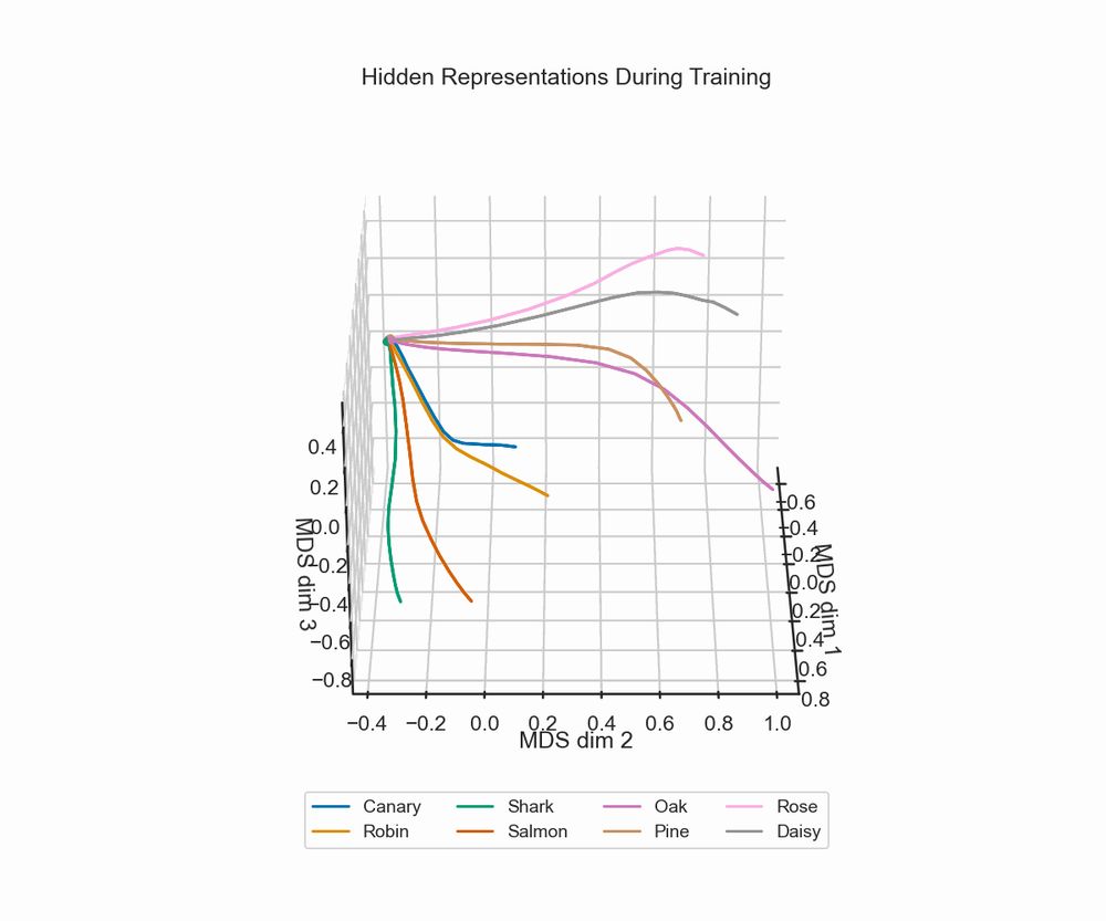 hidden state representation during training 