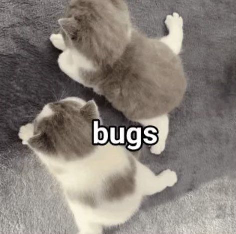 Meme of two kittens on the floor with the caption "bugs"