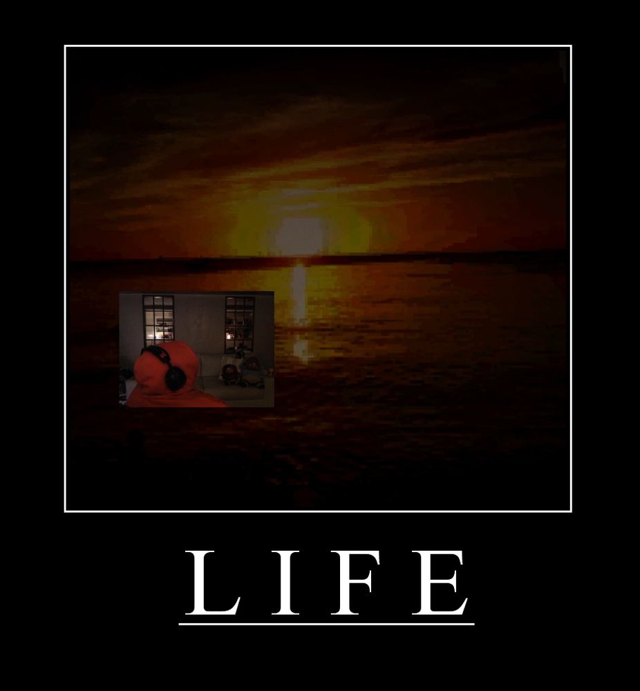 Motivational Poster depicting a low-res image of a sunset over a lake, with a facecam from Caseoh with him positioned so that he's facing the sun's direction. The caption reads "Life".