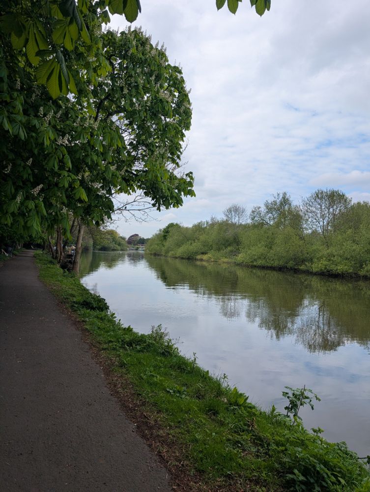Thames path just west of central Reading 
