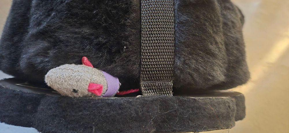 mouse toy trapped between my paw and sandal sole