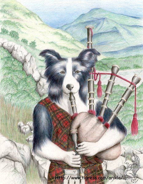 Border Collie playing a set of bagpipes wearing a red/yellow/black tartan. Pipes have a brown bag and red tassels. Rocks, hills and mountains create the background like the Scottish moors. Colors are soft and shading is poor. Collie's hands are a little frightening. Watermark is old and no longer an active website.