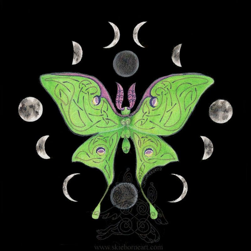 Luna Moth surrounded by phases of the moon. Black background, moth is mostly green with purple/magenta for the Celtic design in the wings