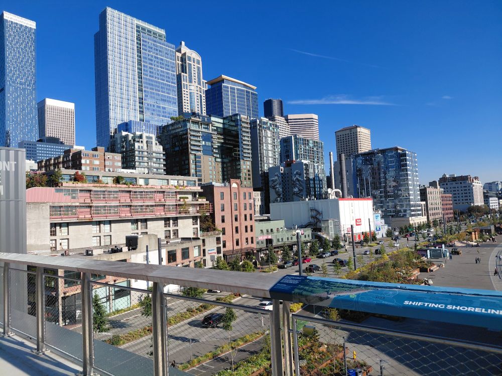 City buildings near the shore by the Seattle Aquarium as seen from an overlook.