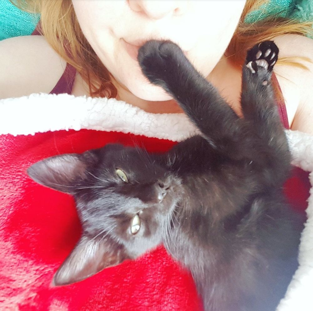 What looks to be an extremely over-filtered photo of me and my black cat when he was just a kitten, but in fact I was just lying beside a huge floor-to-ceiling window in glaring July sunshine and my cameraphone freaked out. You can just see the bottom half of my face at the top of the pic. I'm lying under a red blanket and my cat, Baron, is lying on my chest looking up witheringly, straight into the camera. He has one paw placed on my lips, closing them firmly. "Shut the fuck up, my god" he seems to and does say.