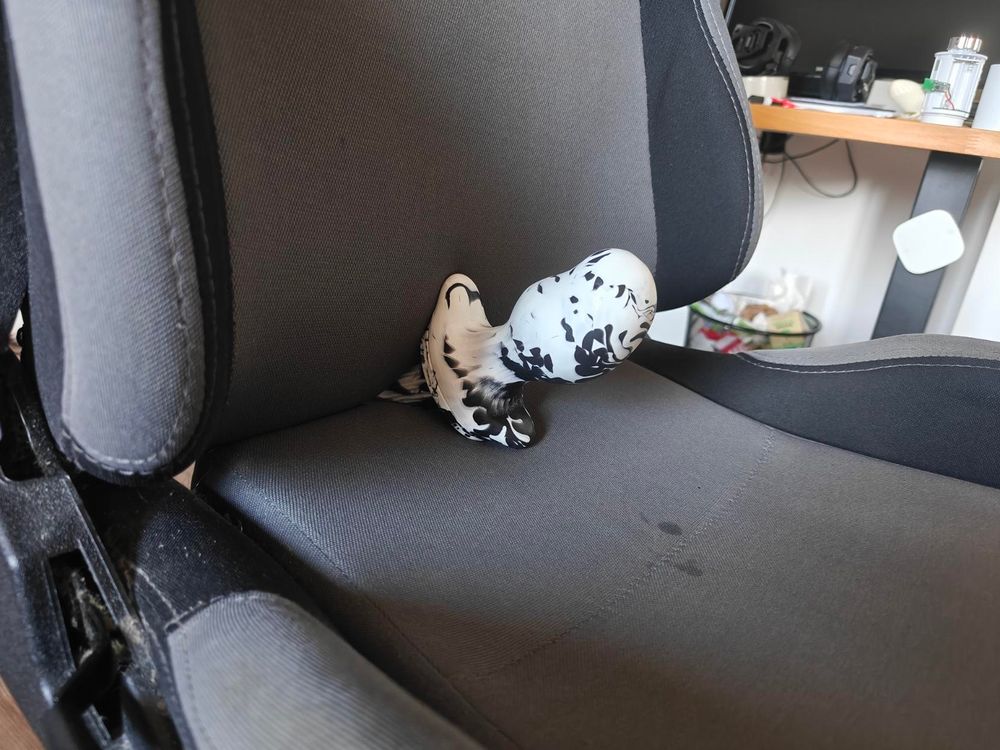 Plugtail stuck between the backrest and the seat of an office chair