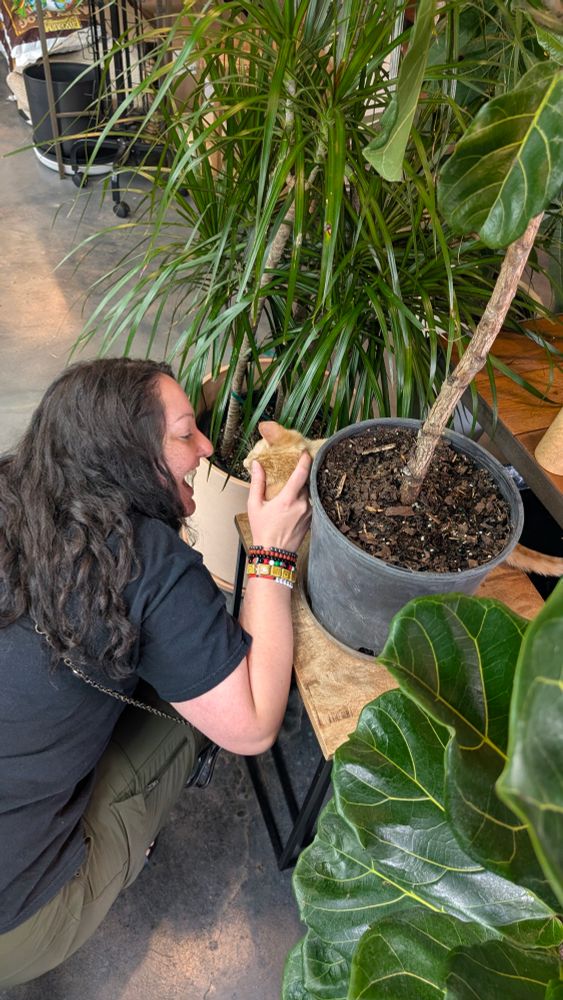My wife smiling at an orange kitten peeking out from behind a plant pot