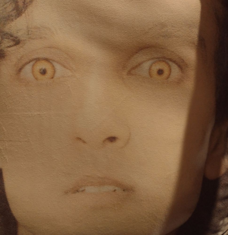 Beige pillow of the vampire Armand, close up on his face