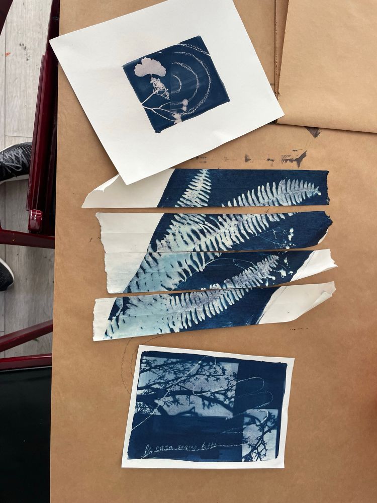 Three cyanotypes on a brown paper covered work table