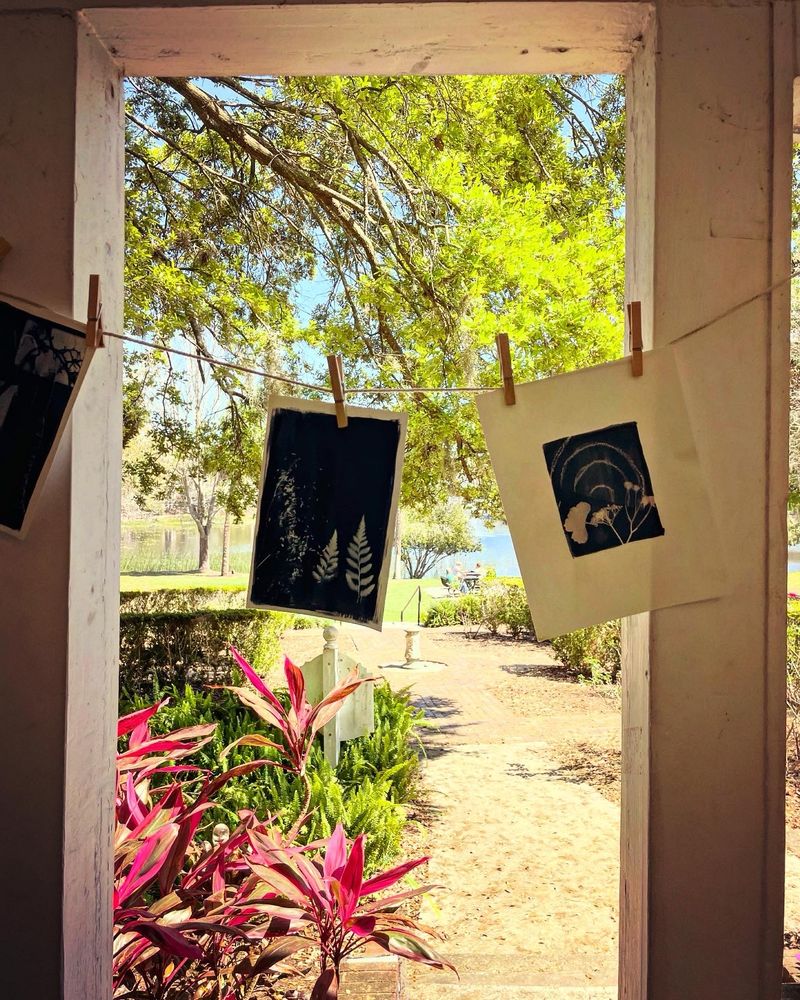 Two cyanotypes hanging from a clothesline under a porch looking out over a lake in a park 