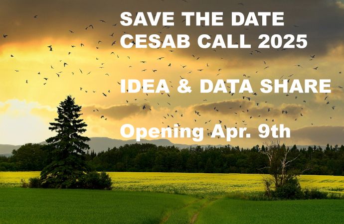 A picturesque landscape showcasing a vibrant field adorned with trees and birds in flight. Reminder to save the date for the CESAB Call 2025 Idea & Data Share call. 