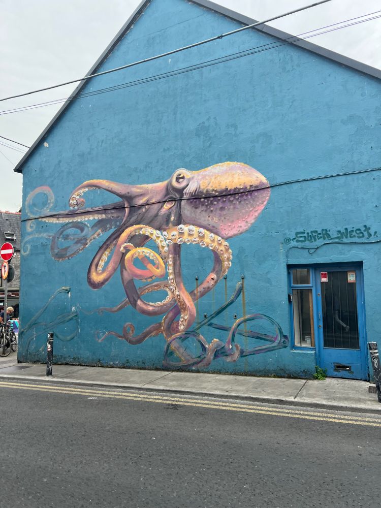 Mural of an octopus on a blue wall background. It’s painted on the whole side wall of a small building. There is a pair of eyeglasses in the octopus’s tentacles. 