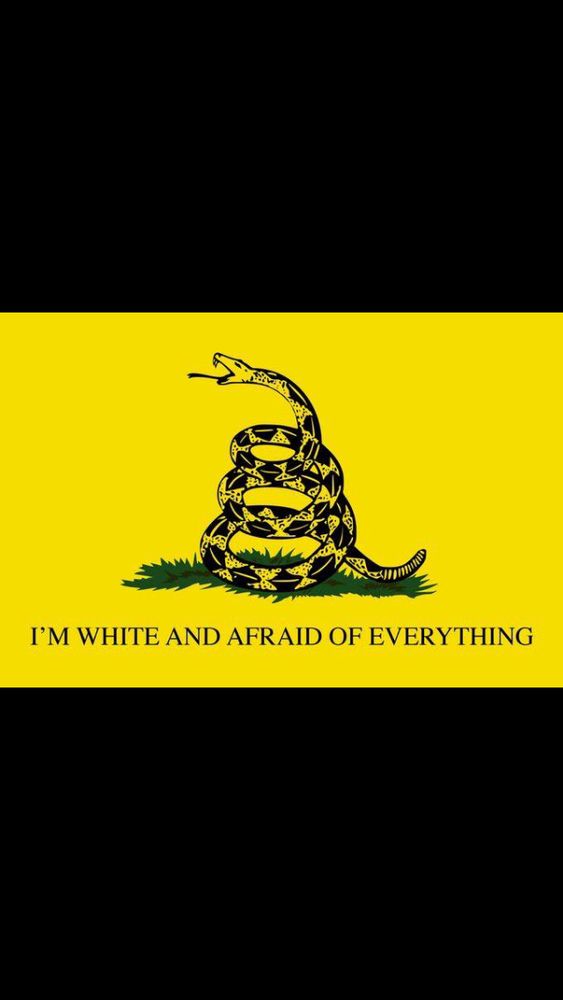 The snake-on-yellow flag, except instead of Don’t Tread On Me, it says “I'M WHITE AND AFRAID OF EVERYTHING.” 