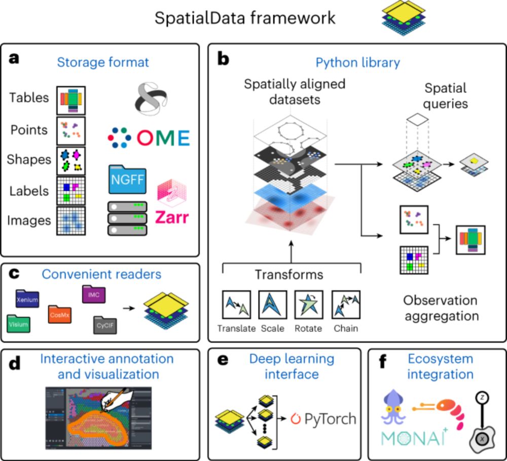 SpatialData: an open and universal data framework for spatial omics - Nature Methods