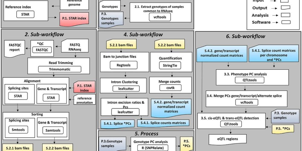 Weekly Recap (Sep 2024, part 5)