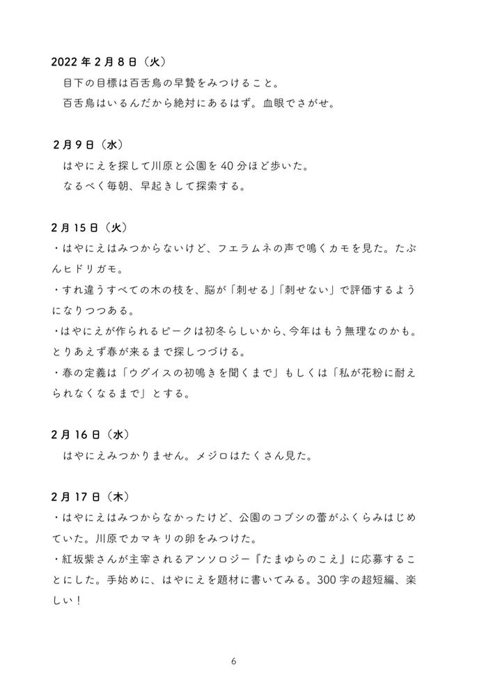 「はやにえ日記」の本文サンプル画像（シーズン1）です。内容は次のとおり。／2022年2月8日（火）：目下の目標は百舌鳥の早贄をみつけること。百舌鳥はいるんだから絶対にあるはず。血眼でさがせ。／２月９日（水）：はやにえを探して川原と公園を40分ほど歩いた。なるべく毎朝、早起きして探索する。／ 2月15日（火）：・はやにえはみつからないけど、フエラムネの声で鳴くカモを見た。たぶんヒドリガモ。・すれ違うすべての木の枝を、脳が「刺せる」「刺せない」で評価するようになりつつある。・はやにえが作られるピークは初冬らしいから、今年はもう無理なのかも。とりあえず春が来るまで探しつづける。・春の定義は「ウグイスの初鳴きを聞くまで」もしくは「私が花粉に耐えられなくなるまで」とする。／2月16日（水）：はやにえみつかりません。メジロはたくさん見た。／ 2月17日（木）：・はやにえはみつからなかったけど、公園のコブシの蕾がふくらみはじめていた。川原でカマキリの卵をみつけた。・紅坂紫さんが主宰されるアンソロジー『たまゆらのこえ』に応募することにした。手始めに、はやにえを題材に書いてみる。300字の超短編、楽しい！