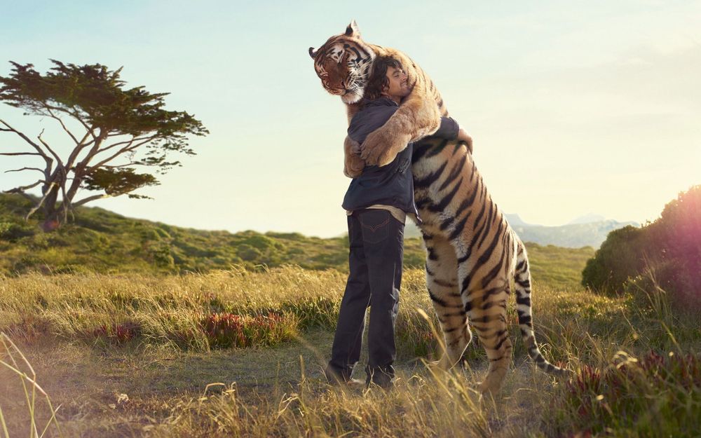 Tiger hugging a man