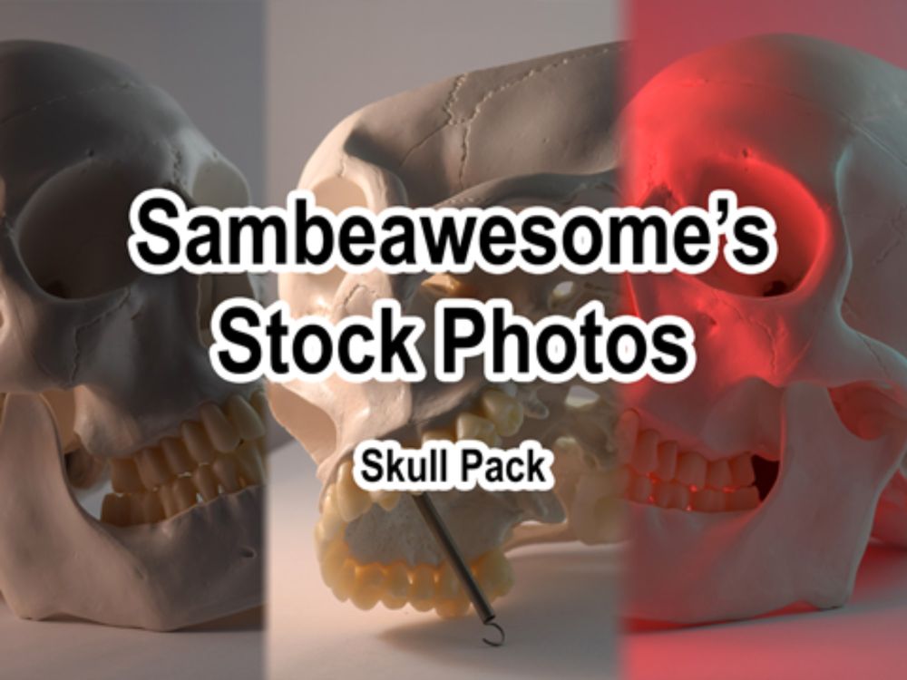 Stock Photos: Human Skull - Sam's Ko-fi Shop