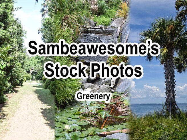 A set of various photos of nature with text overlaying them reading: Sambeawesome's Stock Photos, Greenery