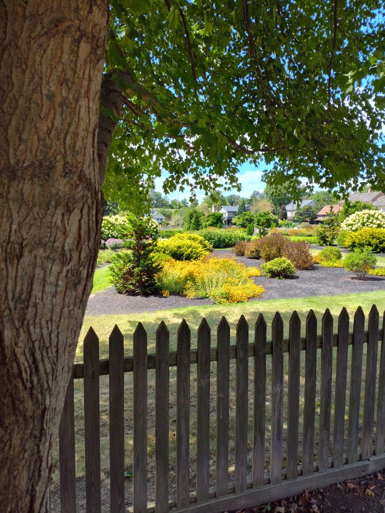 Zoar Community Garden 