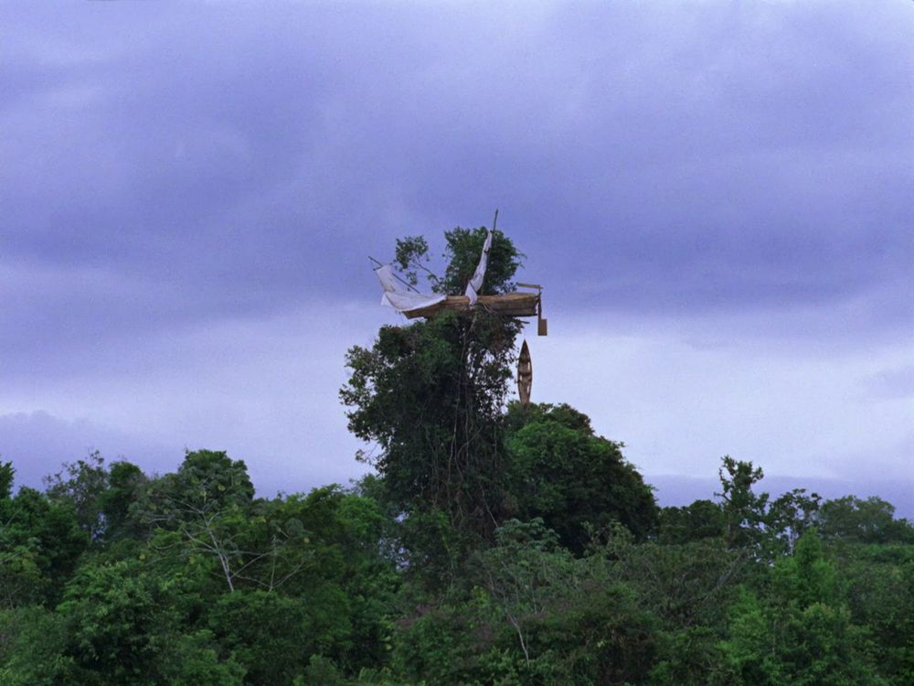 Still frame from Werner Herzog's 1975 film "Aquirre: The Wrath of God" showing amazon rain forest tree line along a river. A medium-sized wooden boat is inexplicably stuck in the tallest tree.