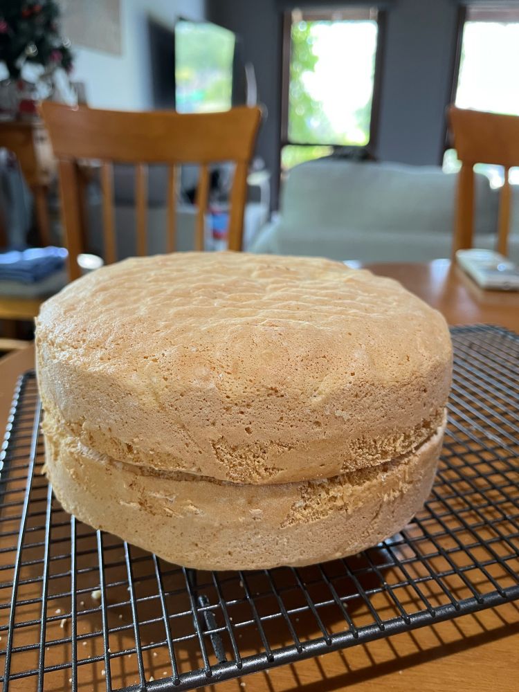 Two experimental golden cakes on a drying rack waiting to be made into trifle for Xmas lunch