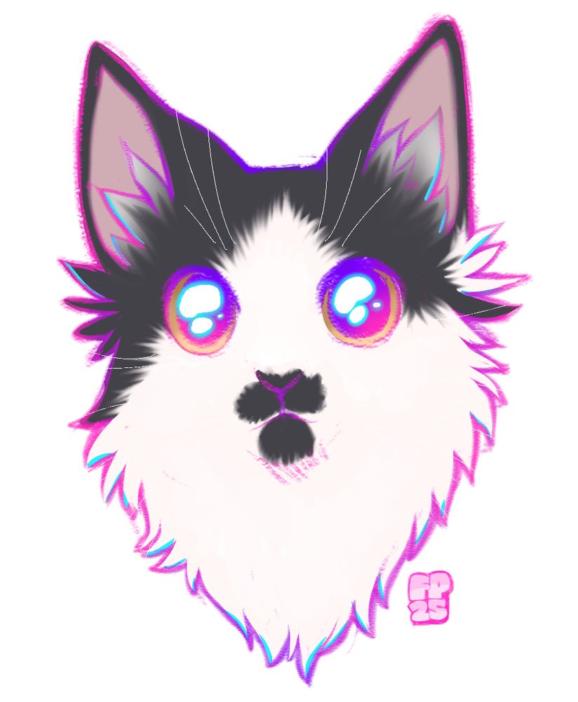 a young, fluffy, long haired cat with tuxedo coloration. a cute moustache/goatee marking on his mouth. his name is Jim !