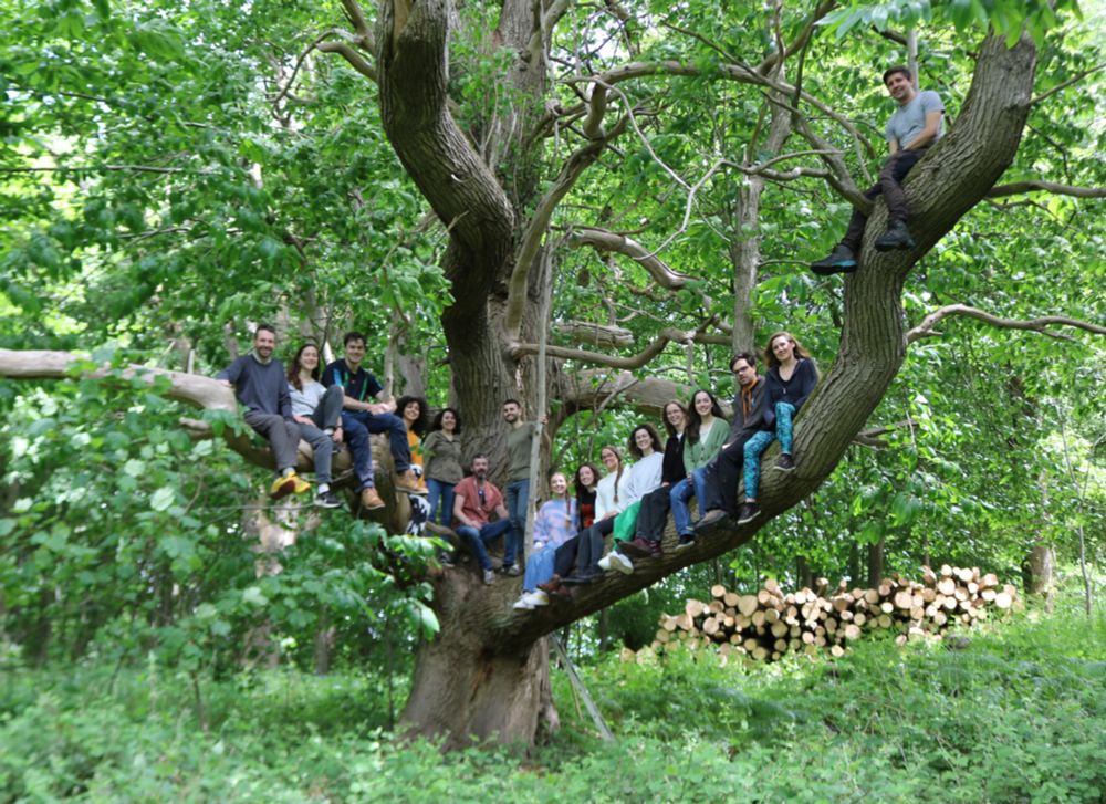 Field team in Wytham Woods May 2025