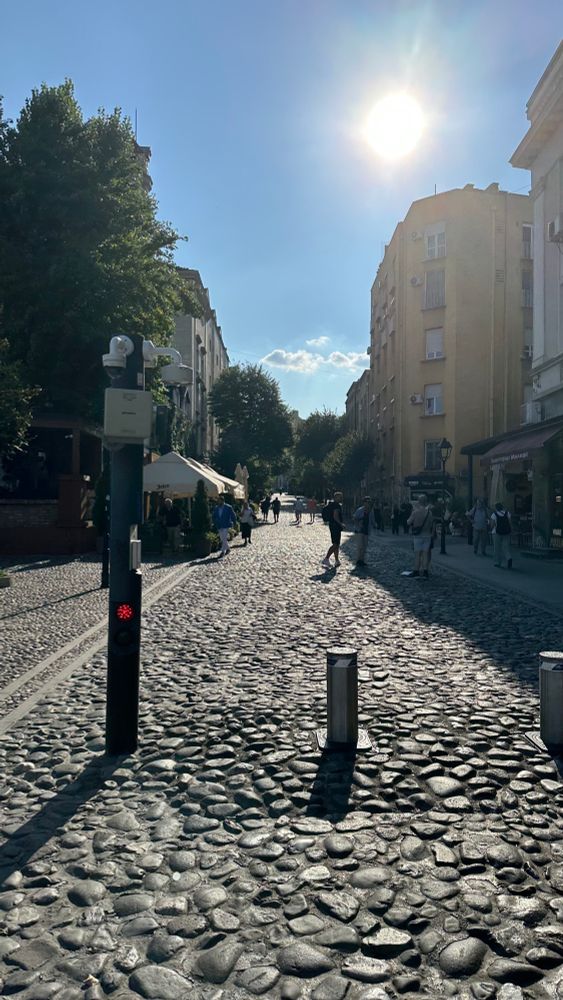 A stone street filled with restaurants and trees with people walking around 