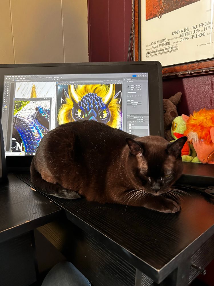 Burmese cat is blocking my drawing tablet and now I’m sad