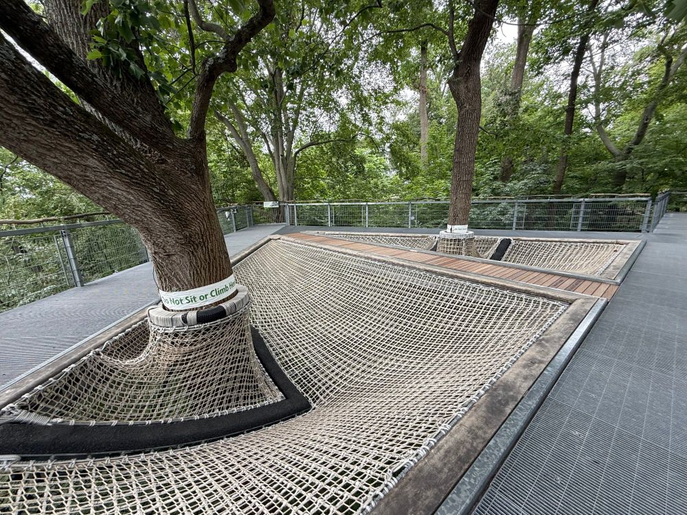 A platform that has nets around trees. You're surrounded by trees and can pretend you're a squirrel by walking and rolling around these nets.