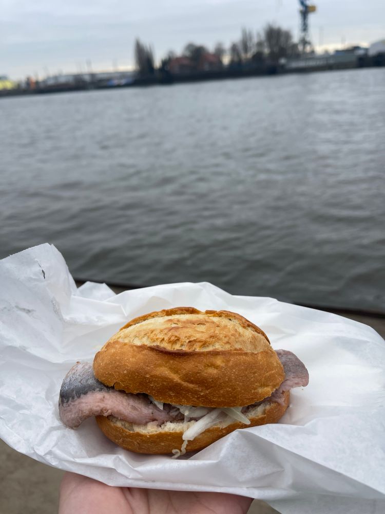 fischbrötchen (fish bread roll) with pickled herring and onions, being enjoyed at the St. Pauli Landungsbrücken (St. Pauli Piers) in Hamburg