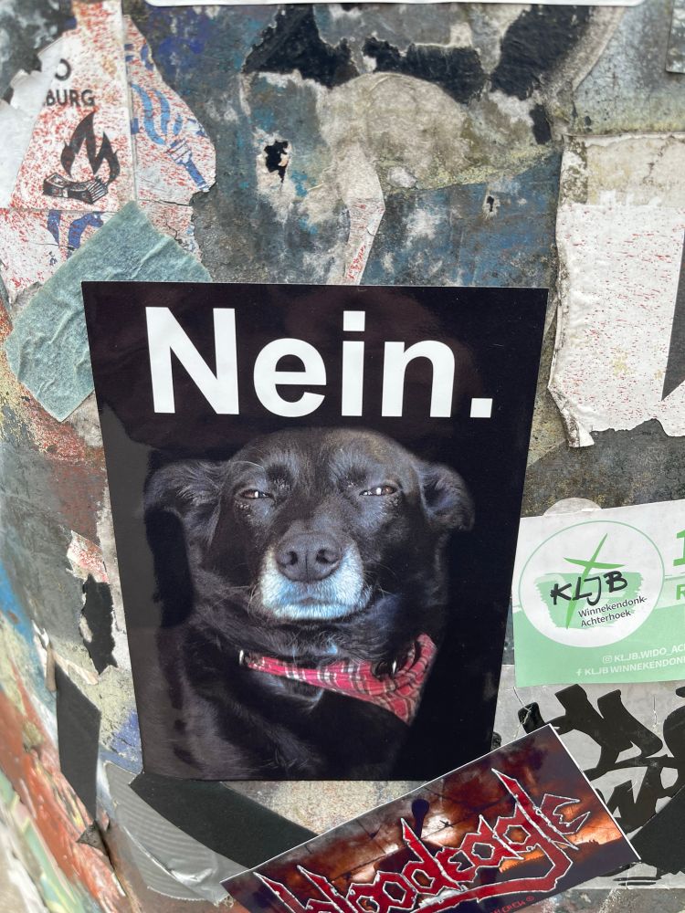 grumpy / suspicious looking dog with the text "Nein." 