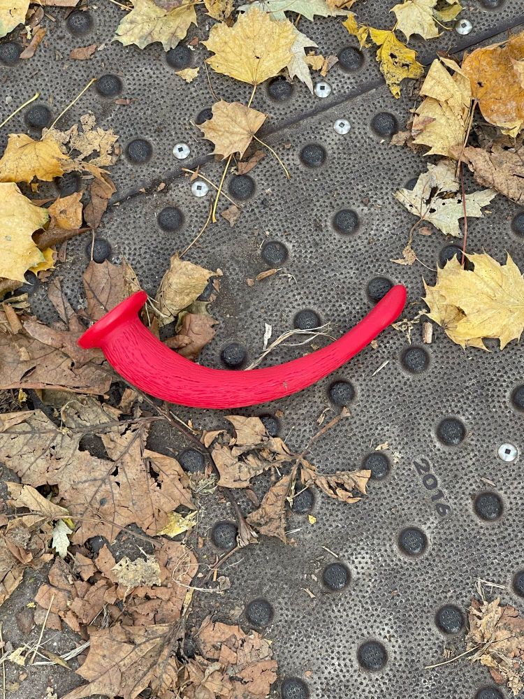 discarded dildo on the street 