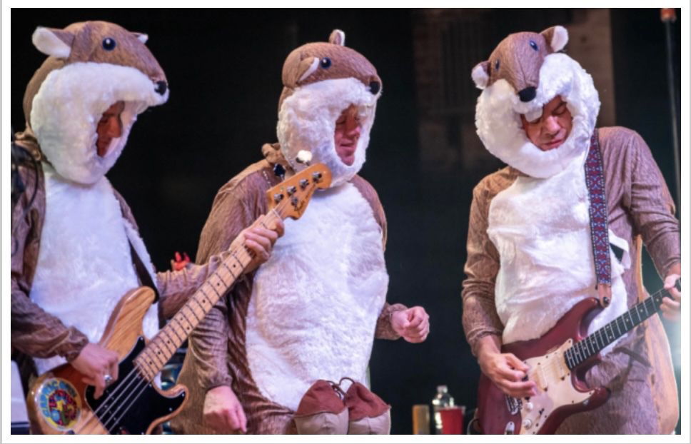 ween on stage in squirrel costumes 🐿️ 🐿️ 🐿️ 