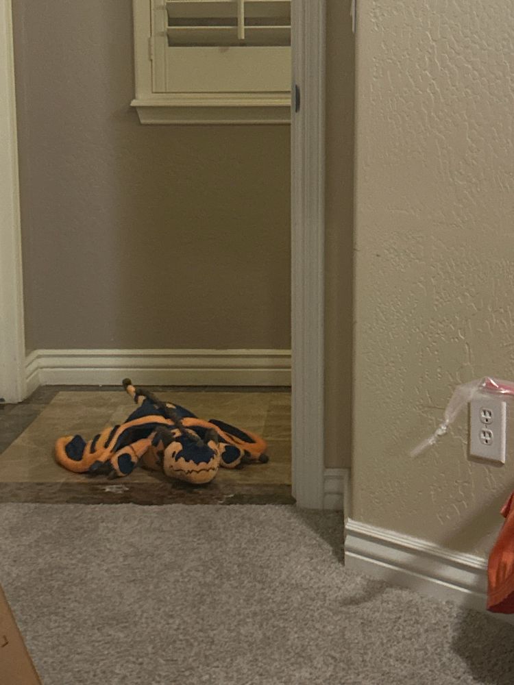 An orange and blue dragon plushie on the floor within a doorway