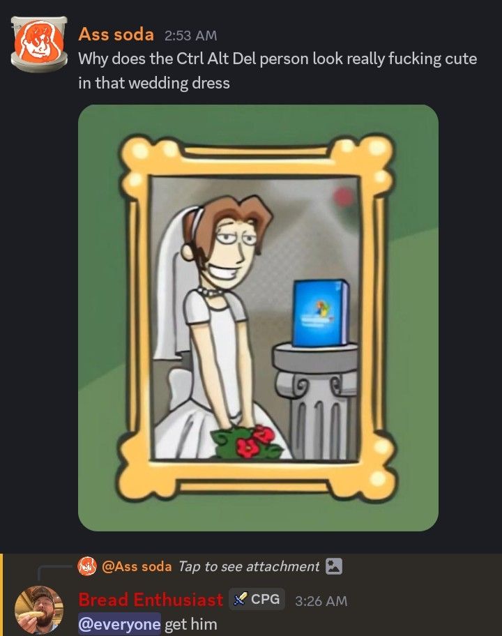 In a discord server, I said "Why does the Ctrl Alt Del person look really fucking cute in that wedding dress".

The context is a image of a panel of the main character of the webcomic Ctrl Alt Del in a wedding dress, with a grin on his face, eyelids lowered down halfway, standing in a cute pose as he has a bouquet in both his hands, positioned down to his legs. He's standing next to a physical installer of Windows XP.

My friend; Bread Enthusiast, replies to me, pinging everyone in the server to "get me" for my supposedly "blasphemous" behavior.