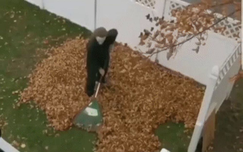 a person is raking leaves in a yard with a rake .