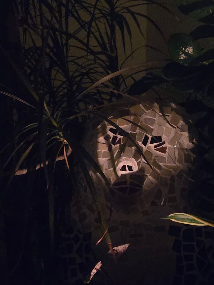 Bach by Flannery in candlelit palms