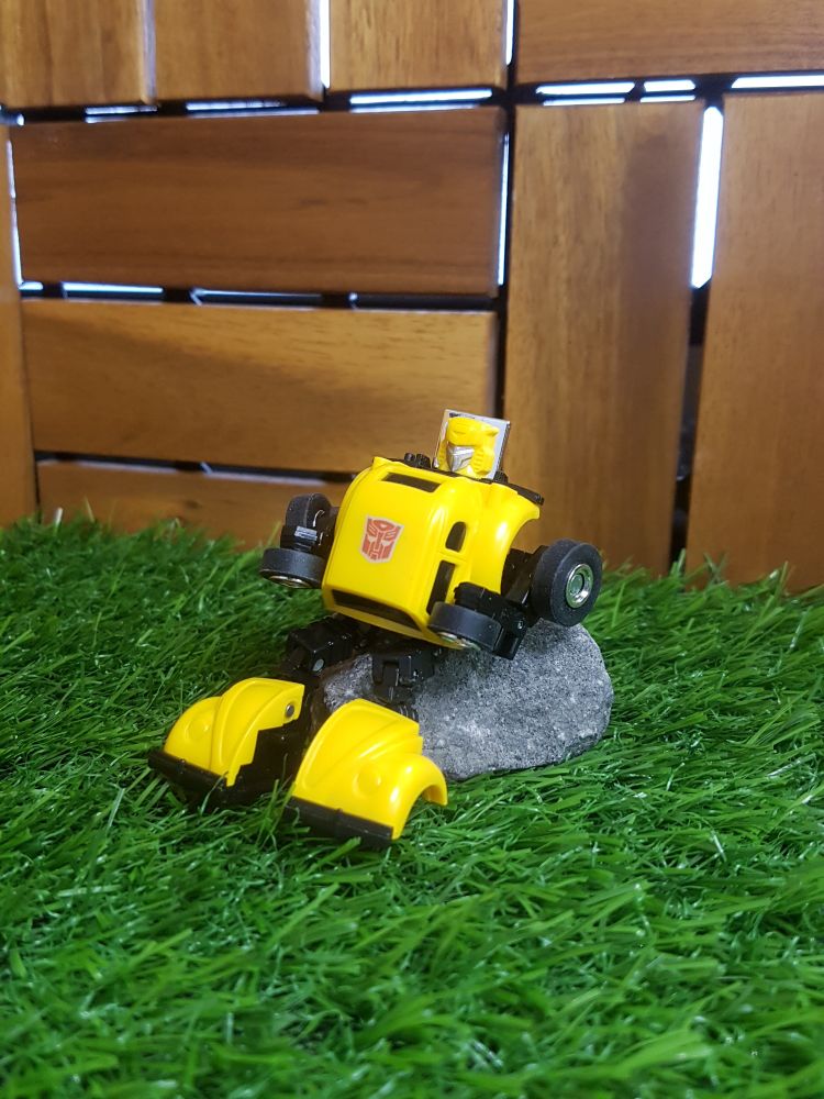 Bumblebee sitting on a rock in a grassy yard set.