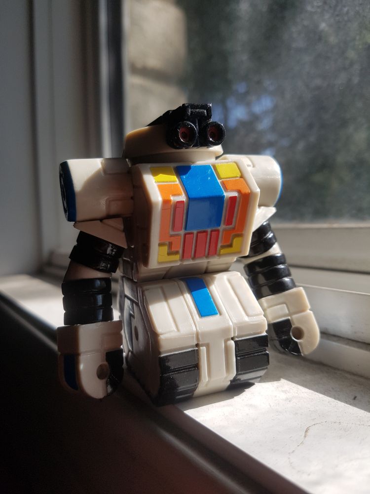 Maxx Zero standing on a windowsil in the sunlight.