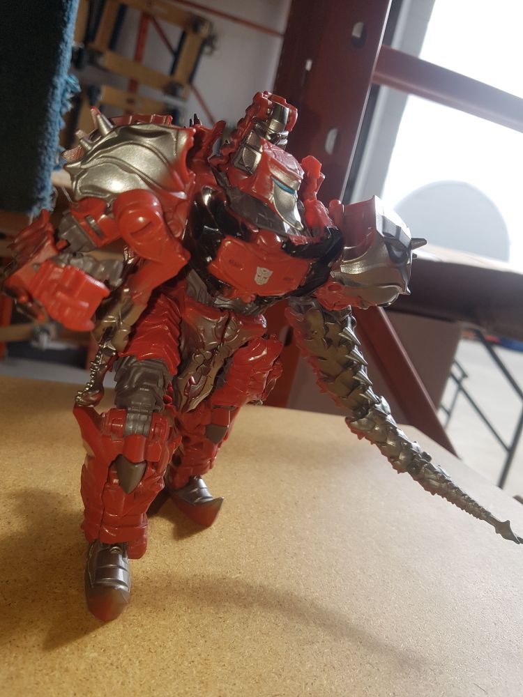 Scorn posed in the sunlight.