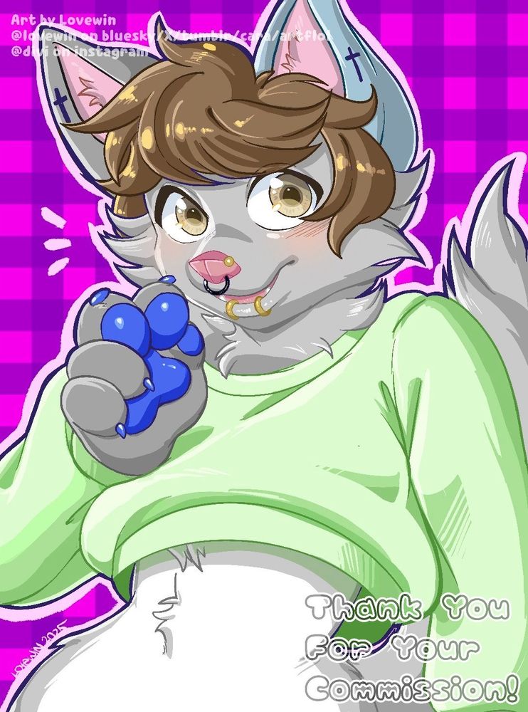 Gray would with blue ear and multiple piercings giving a V 